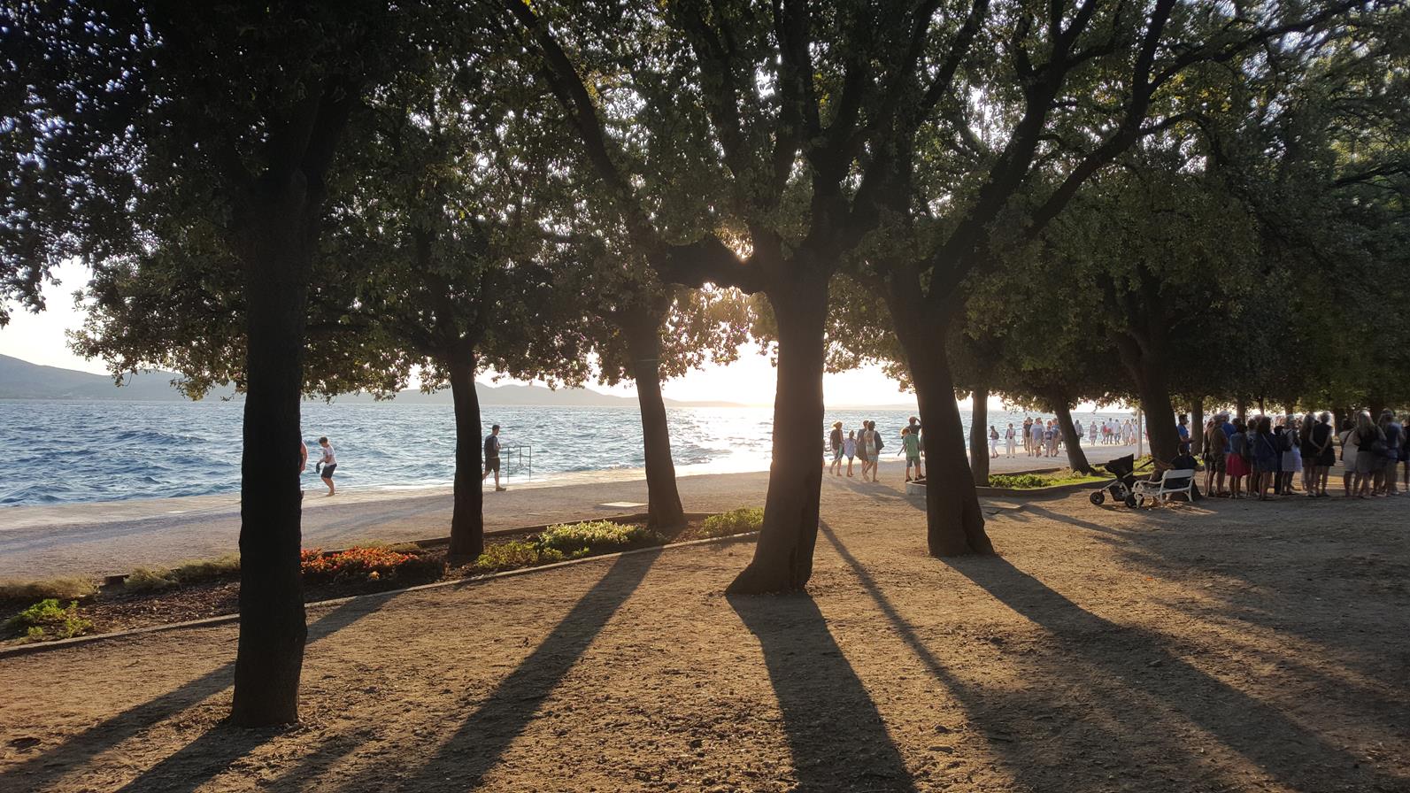 20170822_190336 (Copy) — kopia.jpg