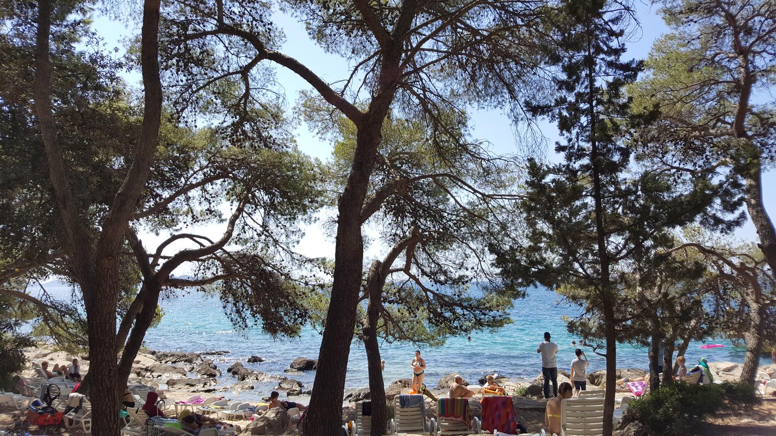 20170823_122742 (Copy).jpg