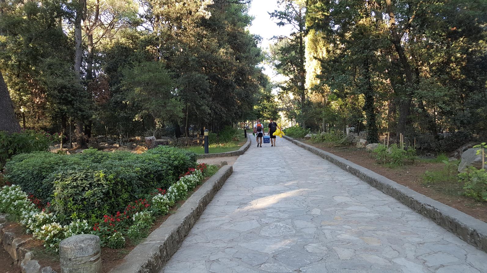 20170823_181025 (Copy).jpg