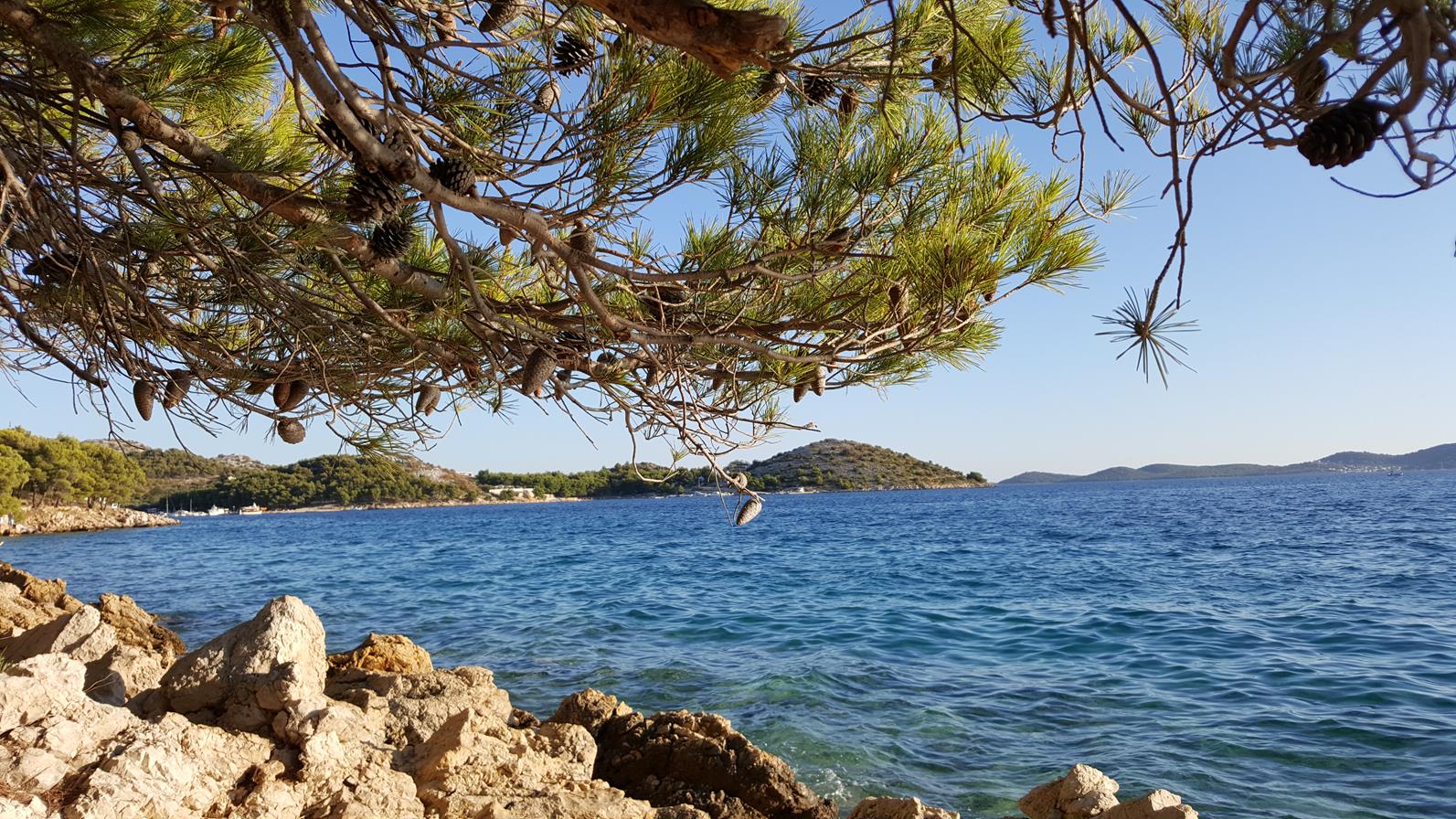 20170823_183200 (Copy).jpg