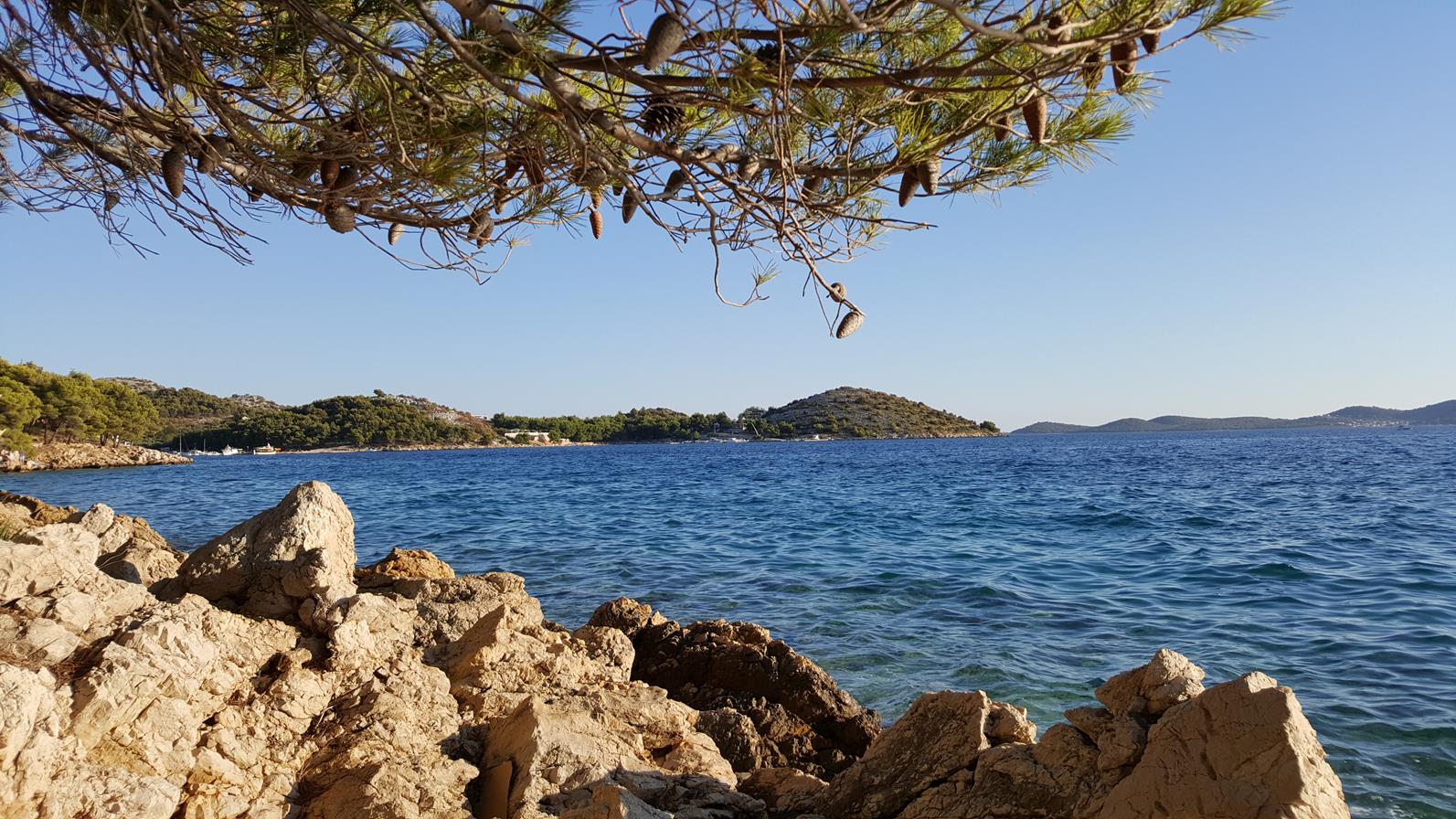 20170823_183208 (Copy).jpg