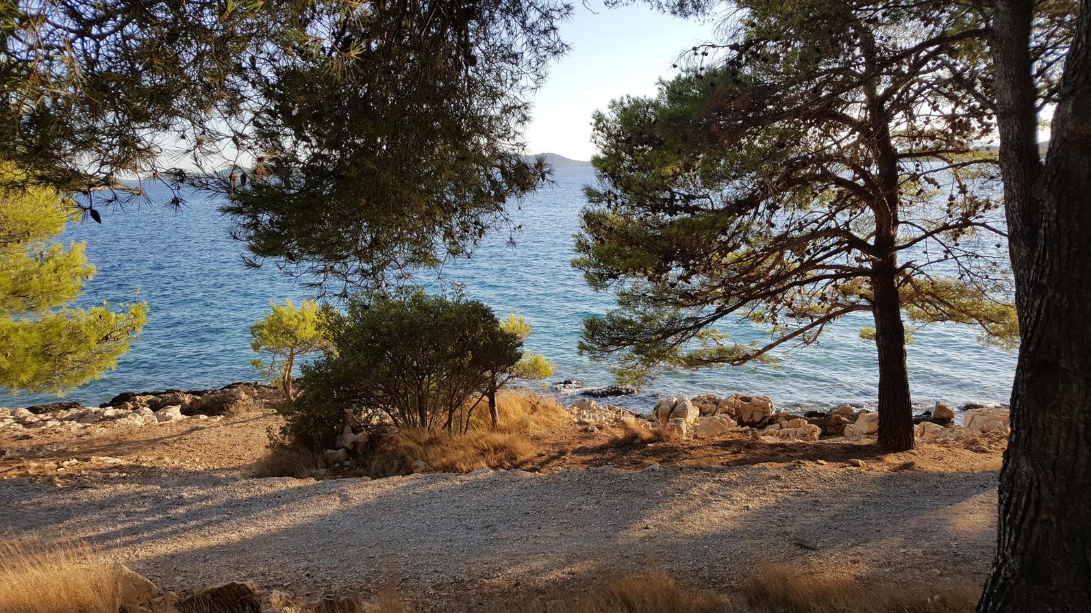 20170823_183944 (Copy).jpg