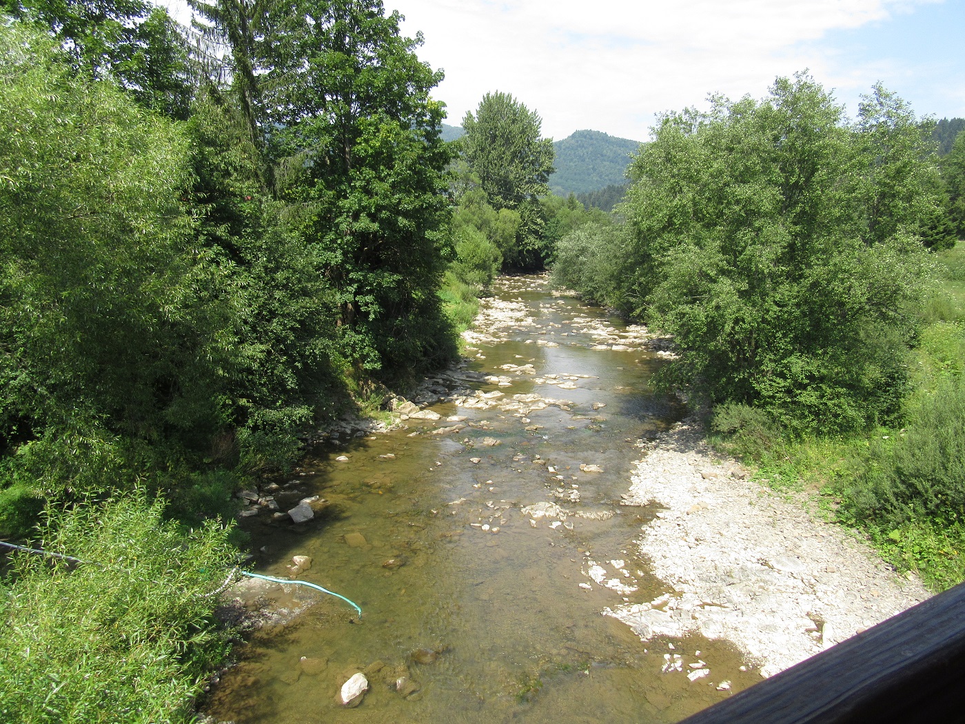 Strumyczek po drodze / IMG_3920.JPG IMG_3920.JPG