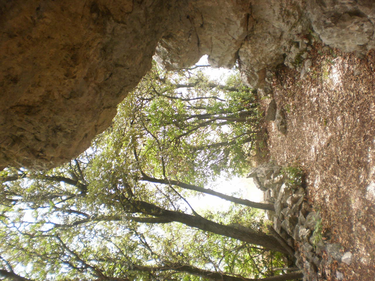 P8158231 — kopia.JPG