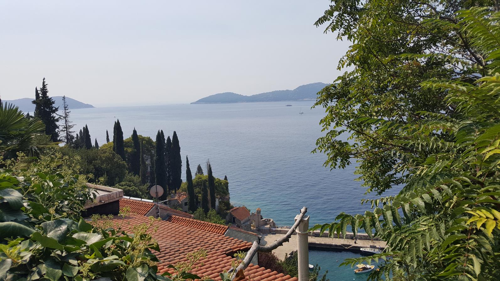 20170825_111416 (Copy).jpg