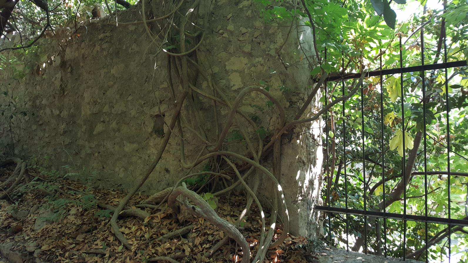 20170825_113453 (Copy).jpg