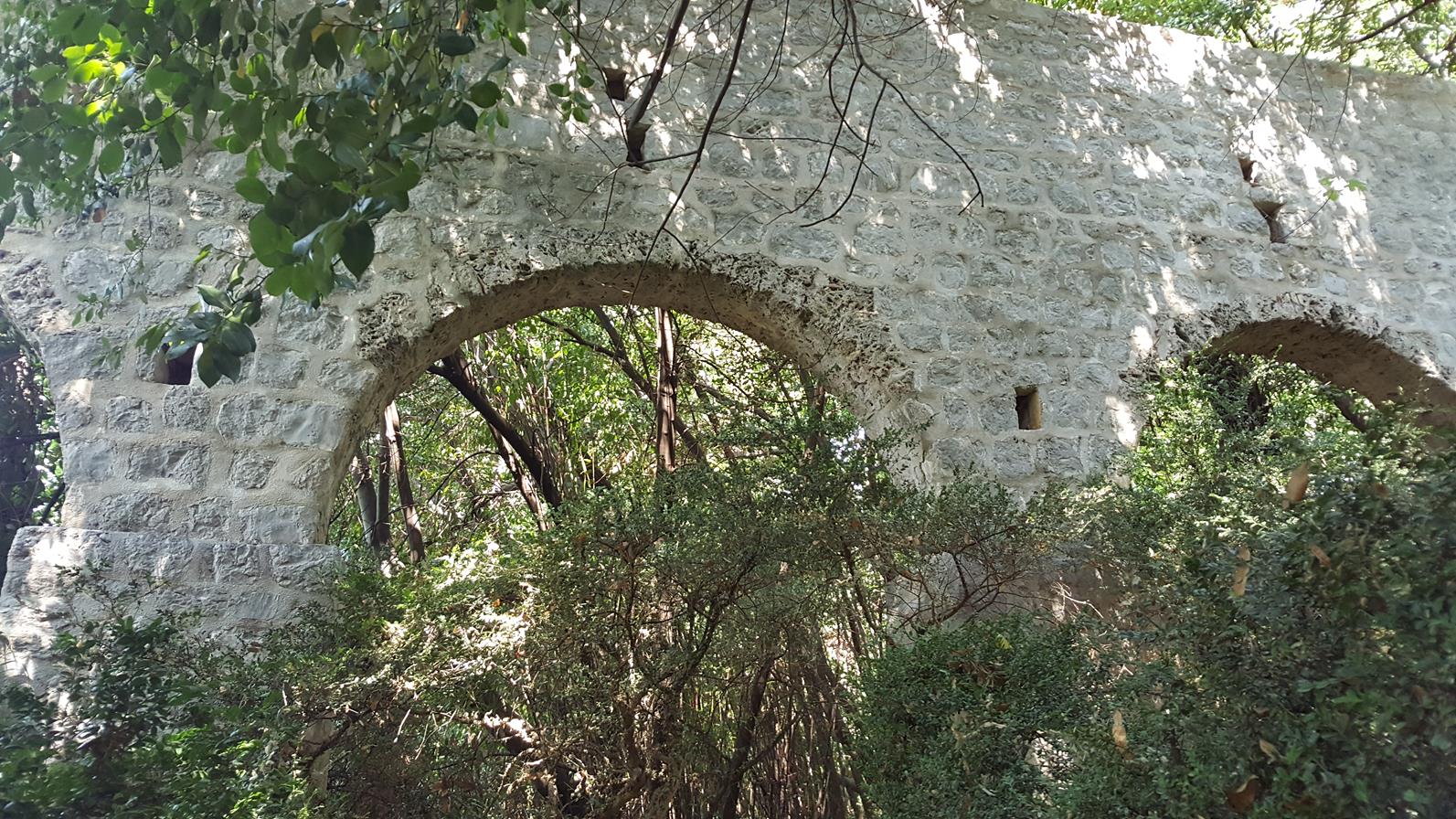 20170825_113753 (Copy).jpg