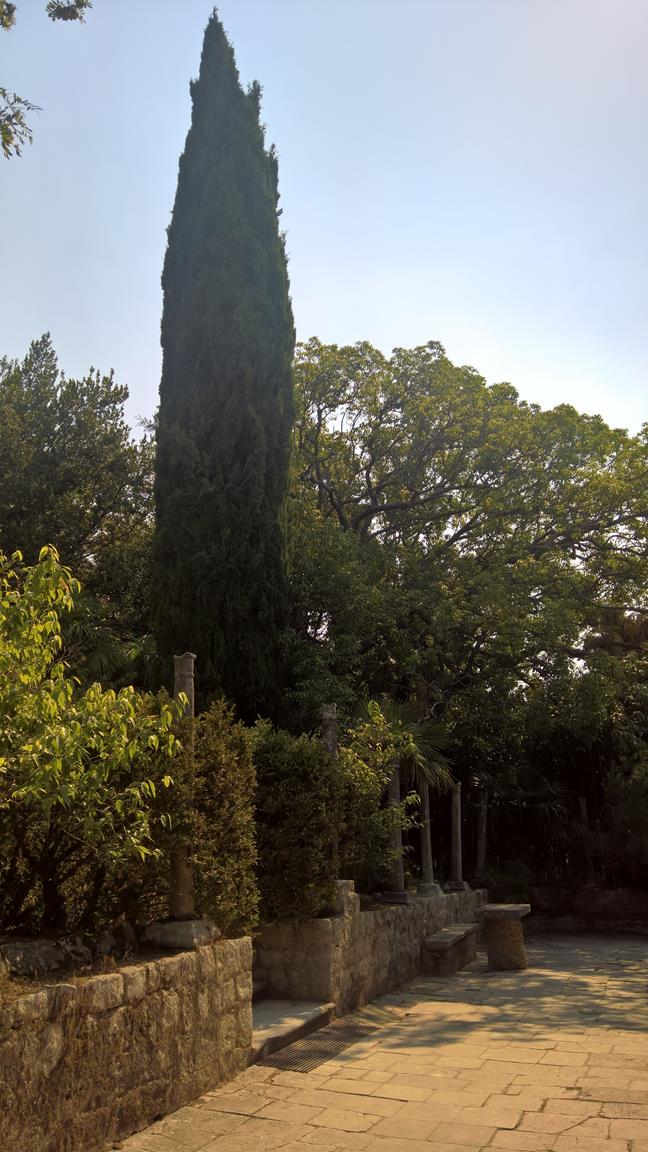 WP_20170825_11_08_07_Pro_LI (Copy).jpg