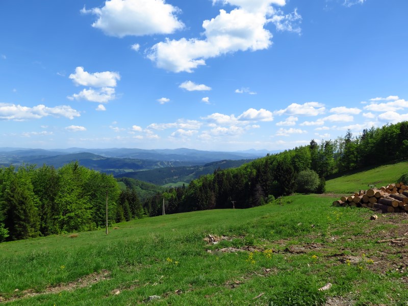 2018-05-13-14h33m01 (Custom).JPG