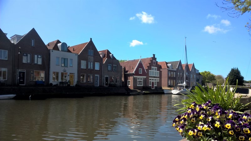 DSC_0524 (Kopiowanie).jpg