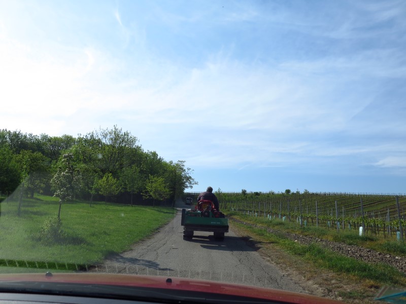 2018-04-28-09h23m03 (Custom).JPG