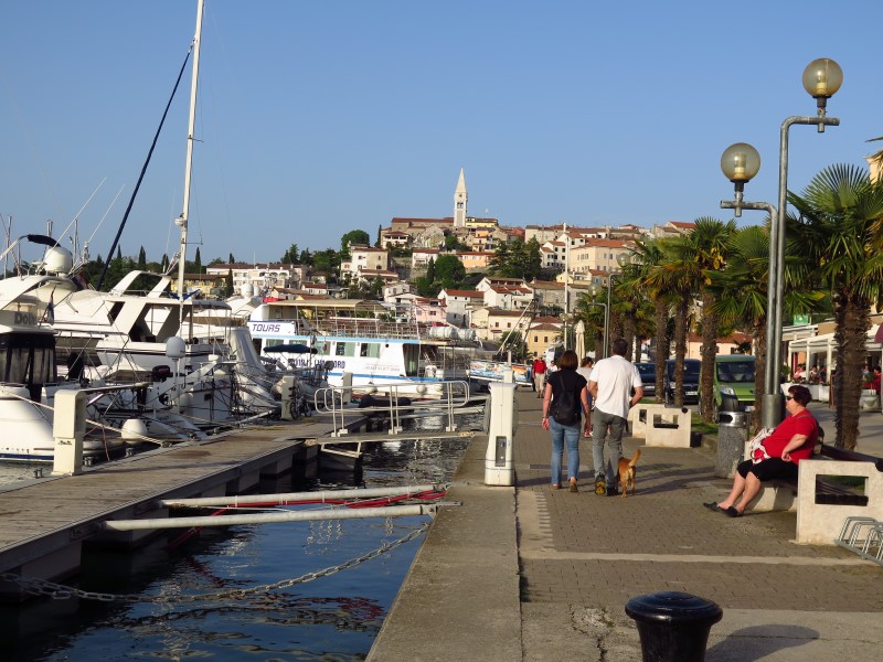 2018-04-28-18h38m40 (Custom).JPG