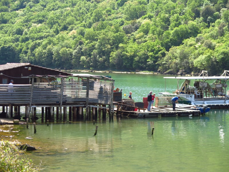 2018-04-29-10h58m32 (Custom).JPG