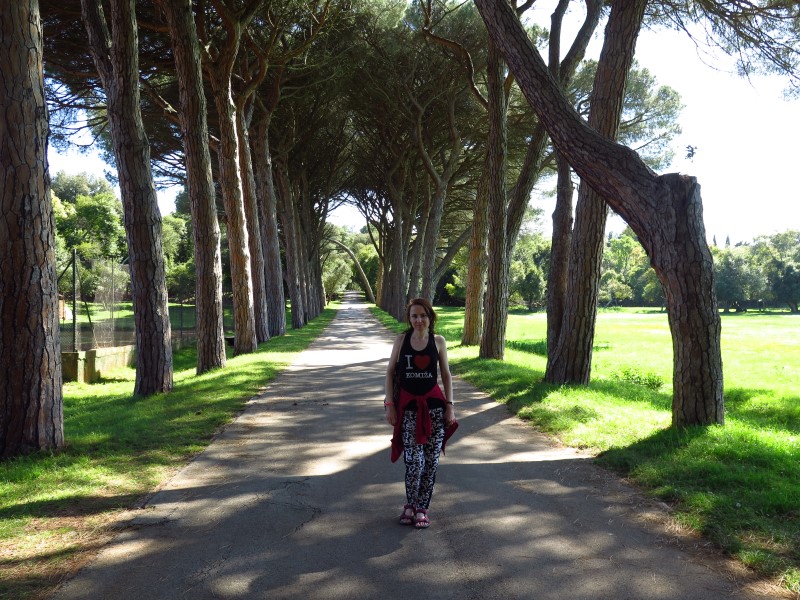 2018-04-30-15h37m48 (Custom).JPG