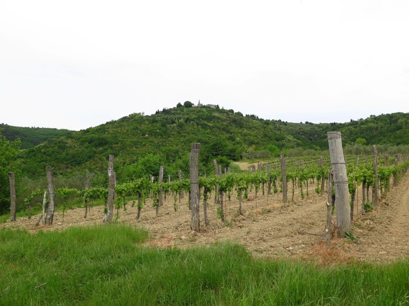 2018-05-01-12h21m14 (Custom).JPG