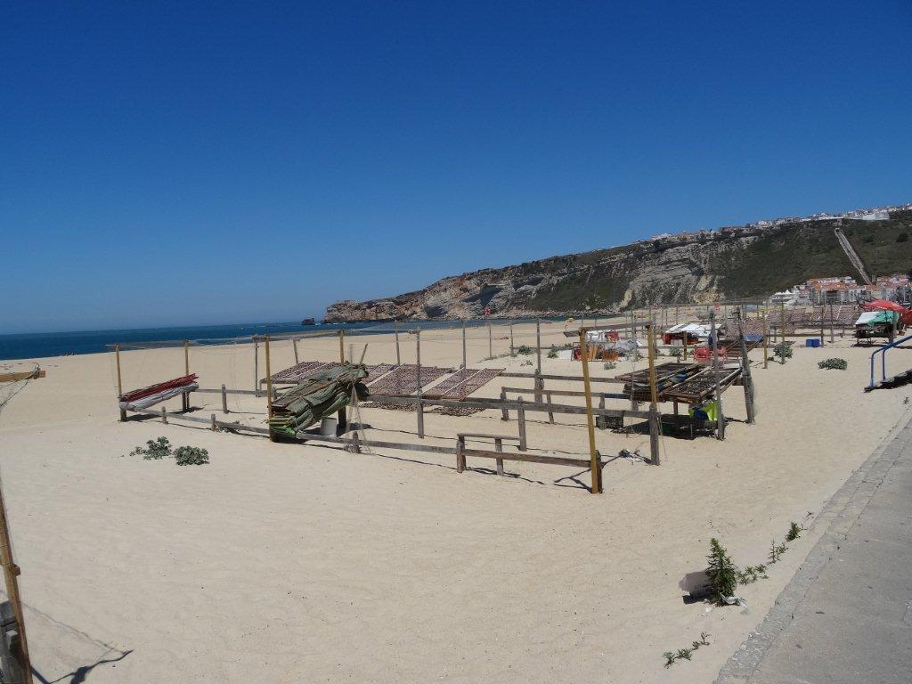 Podbój Iberii cz. I 2029.jpg