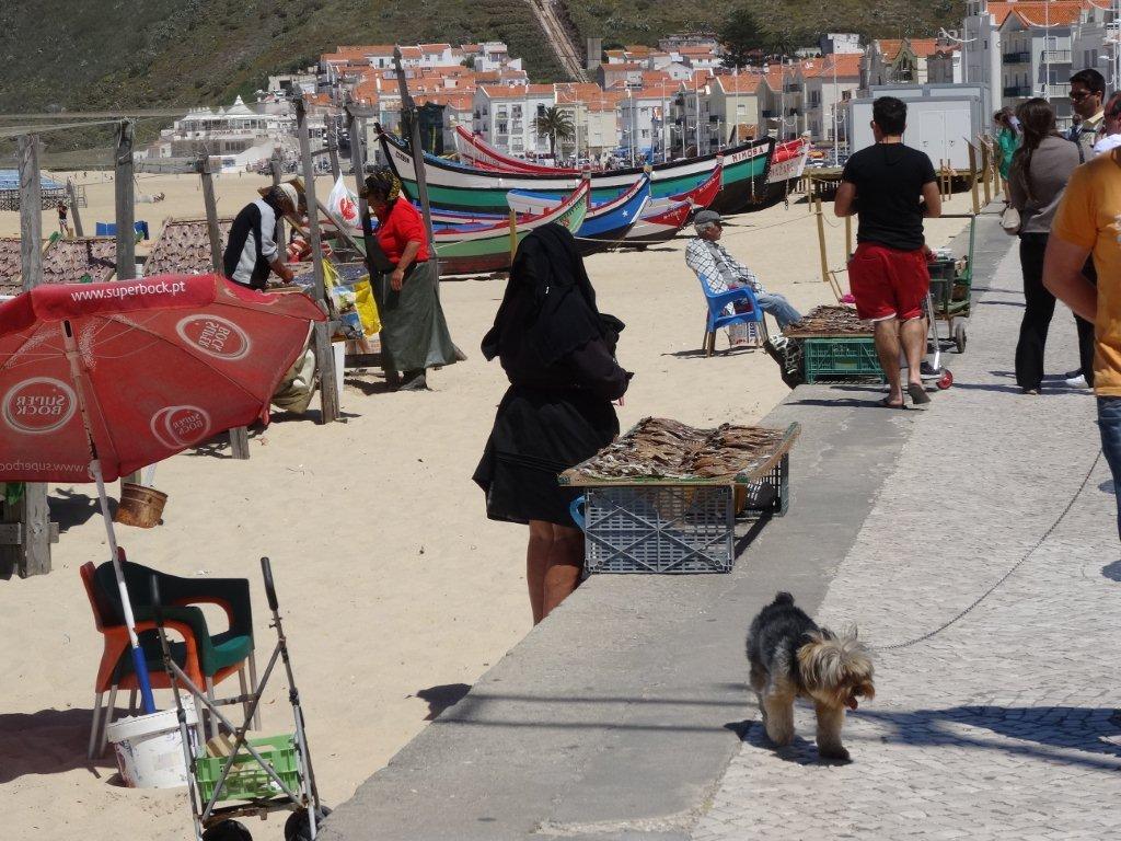 Podbój Iberii cz. I 2030.jpg