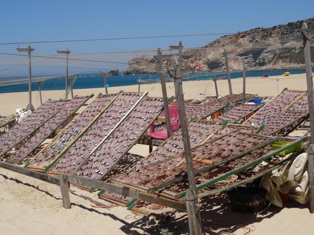 Podbój Iberii cz. I 2031.jpg