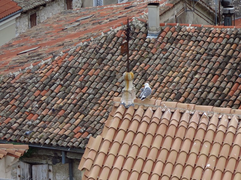 2018-05-01-16h53m22 (Custom).JPG