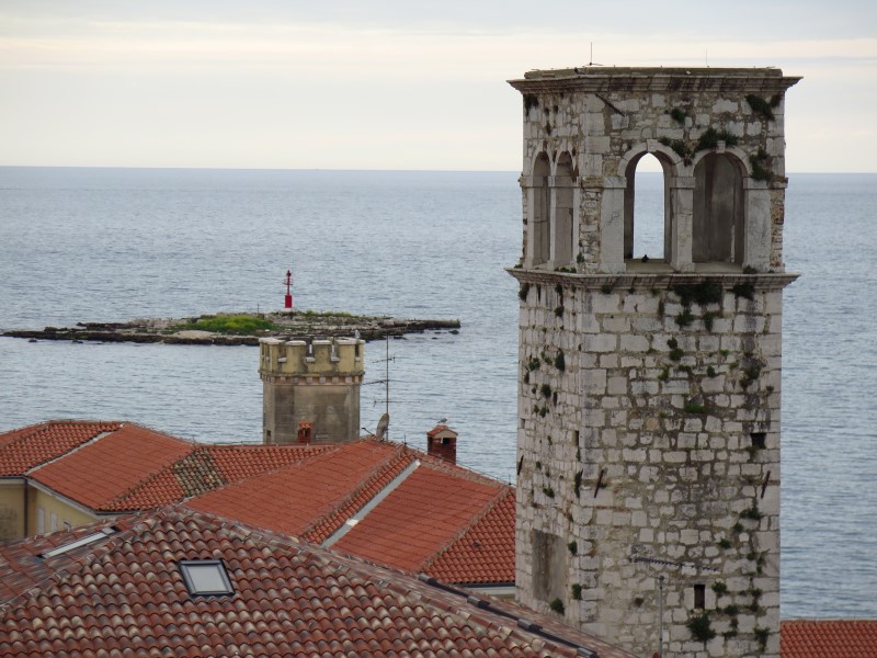 2018-05-01-16h53m42 (Custom).JPG