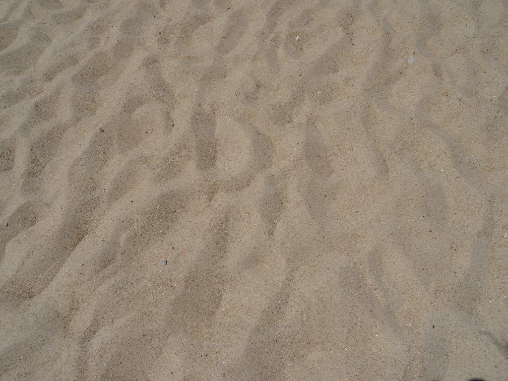 Podbój Iberii cz. I 2039.jpg