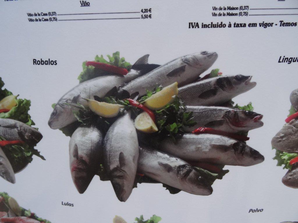 Podbój Iberii cz. I 2063.jpg