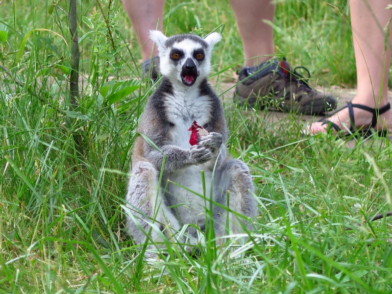 IMG_0417 (Custom).JPG