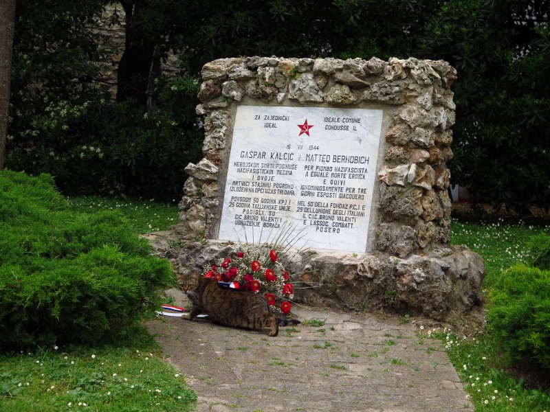 2018-05-01-17h48m48 (Custom).JPG