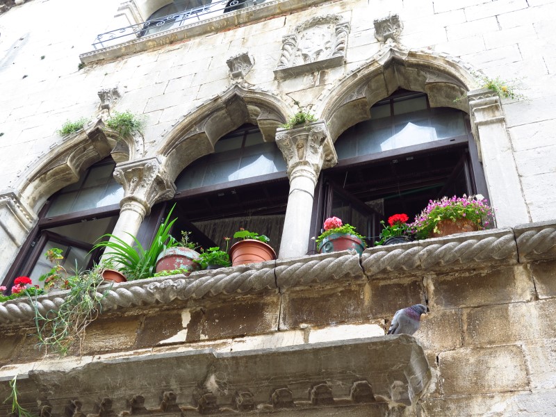 2018-05-01-18h09m10 (Custom).JPG