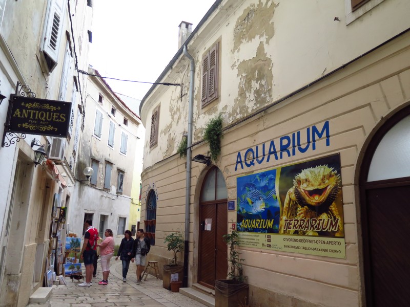 2018-05-01-18h10m21 (Custom).JPG