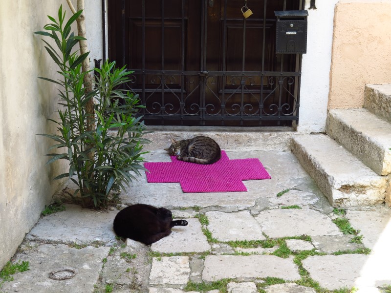 2018-05-02-14h19m52 (Custom).JPG