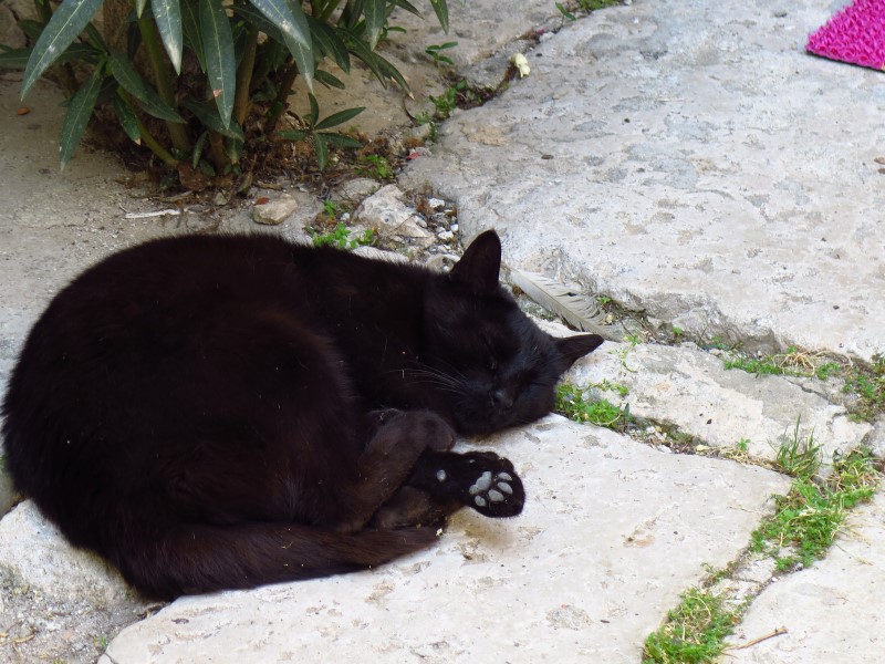 2018-05-02-14h20m06 (Custom).JPG