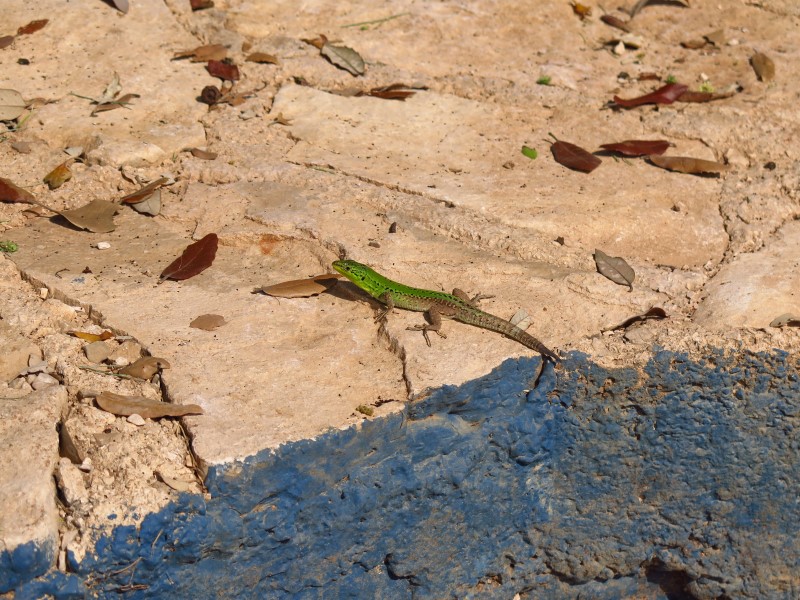 2018-05-02-15h47m10 (Custom).JPG