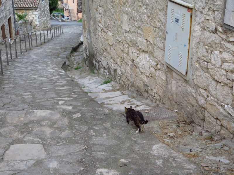 2018-05-02-19h26m59 (Custom).JPG