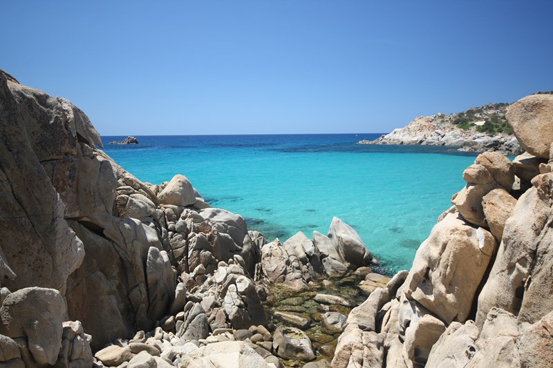 Cala cipolla.JPG