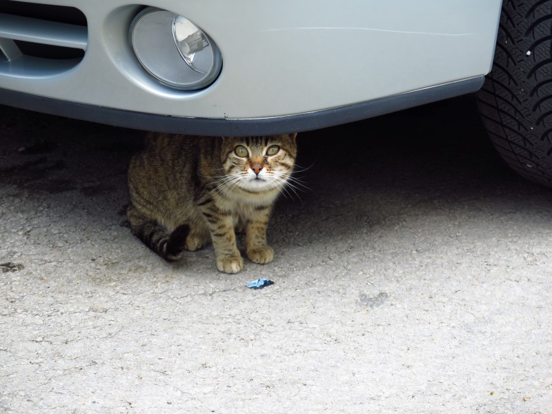 2018-05-03-15h02m31 (Custom).JPG