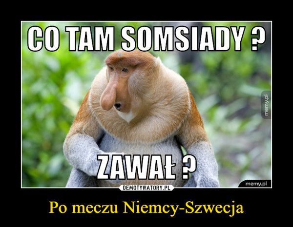 ru-0-r-650,0-n-nH2452504QdTJ_niemcy_szwecja_2018_memy_i_smieszne_obrazki_po_meczu_na_mundialu[1].jpg