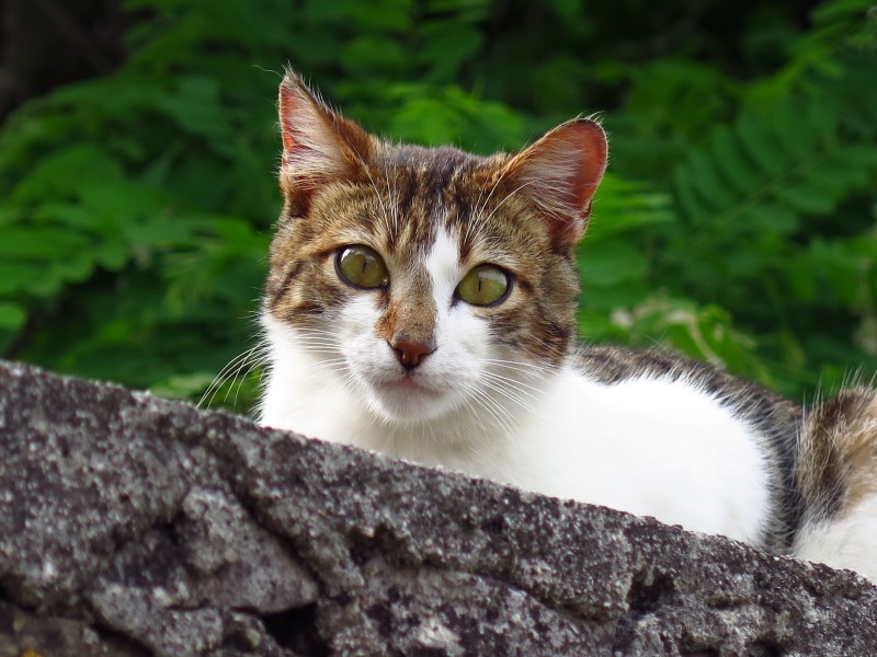 2018-05-04-15h37m50 (Custom).JPG