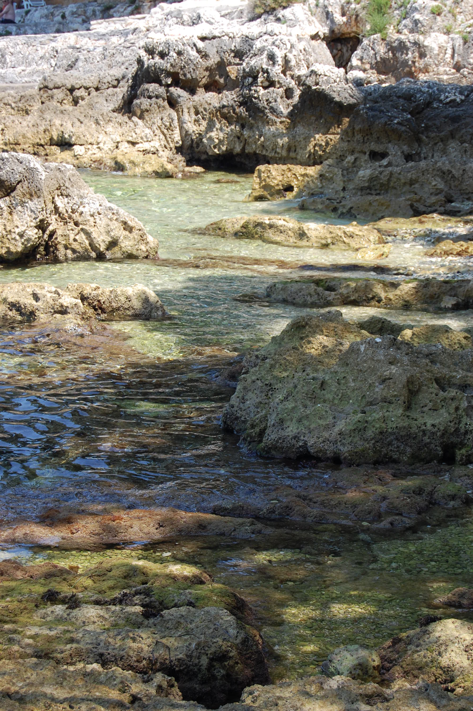 DSC_0247.JPG DSC_0247.JPG