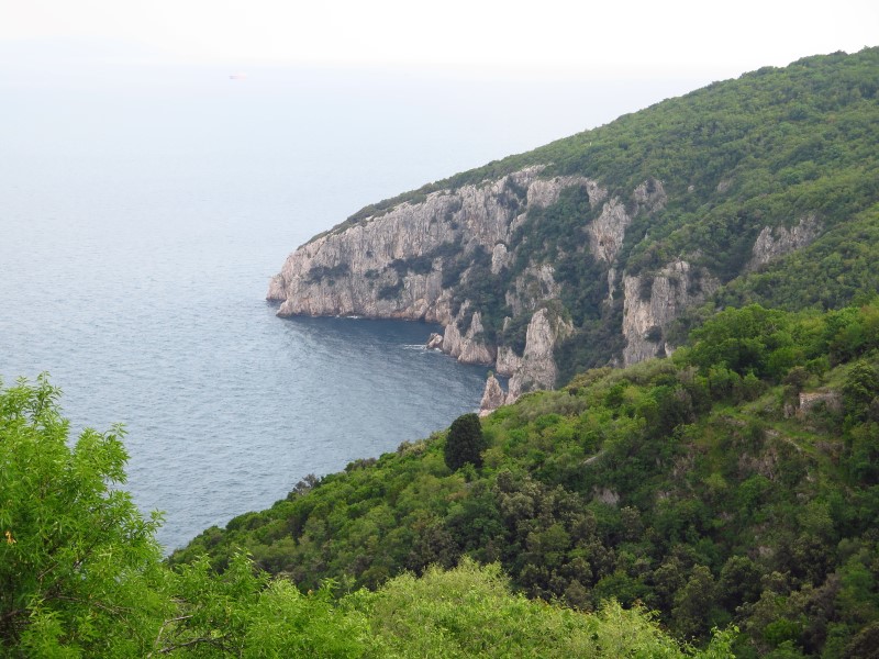 2018-05-05-16h17m39 (Custom).JPG