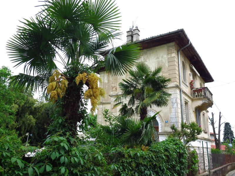 2018-05-05-16h46m06 (Custom).JPG