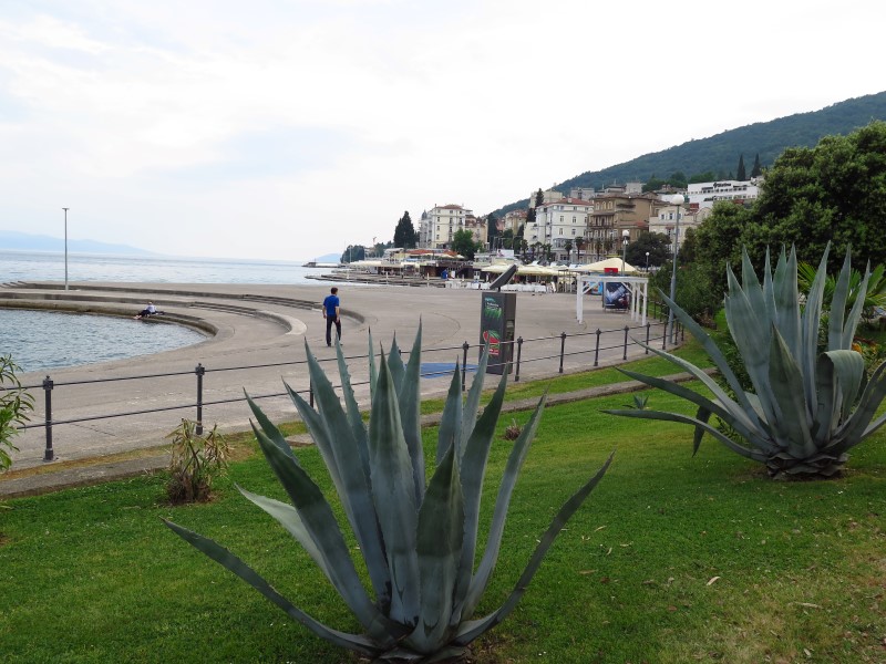 2018-05-05-17h46m33 (Custom).JPG