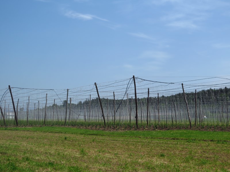 2018-05-06-13h24m11 (Custom).JPG