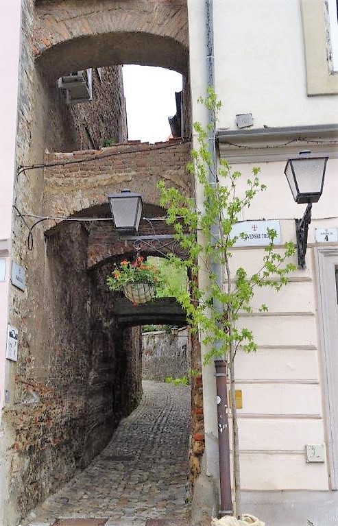 Słowenia maj 2018-05-20 044.jpg