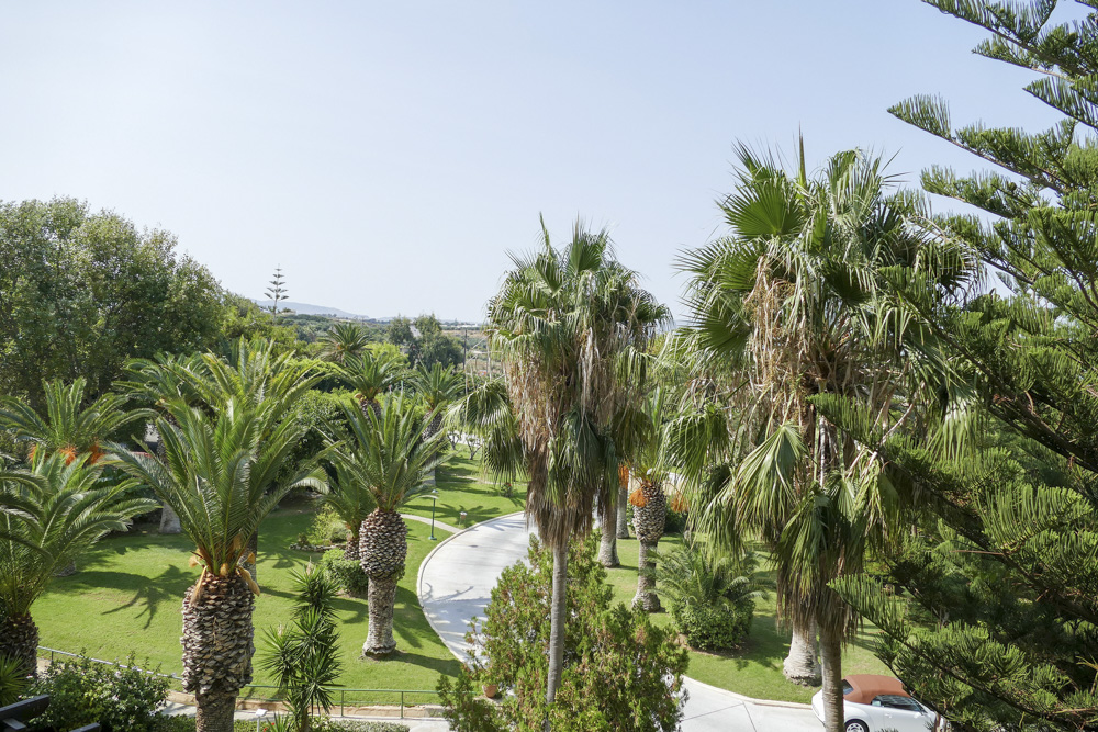 widok z balkonu - fotka z następnego dnia rano / P1030001.JPG P1030001.JPG