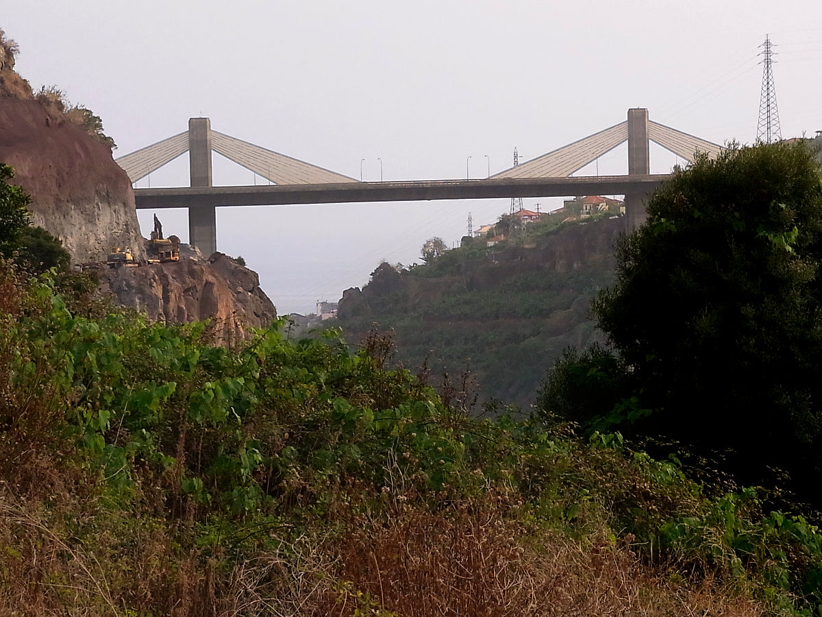 P15G0040.JPG