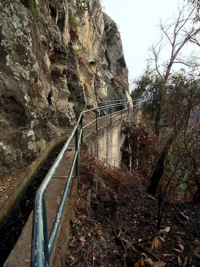 P15G0044.JPG