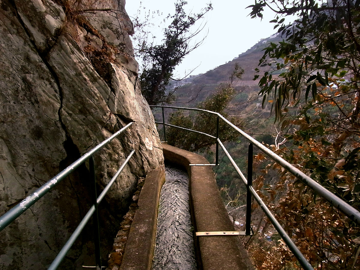 P15G0046.JPG