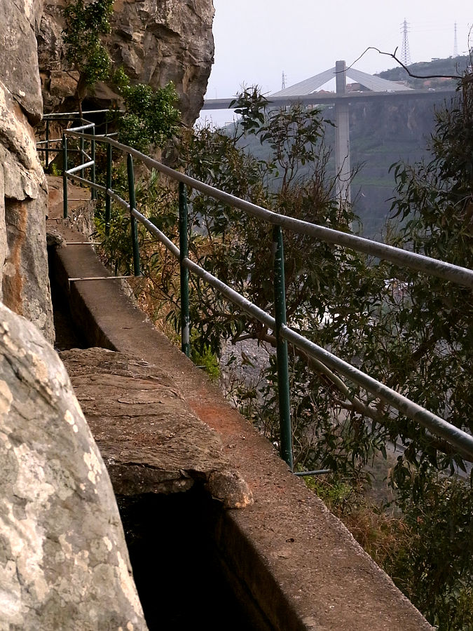 P15G0047.JPG