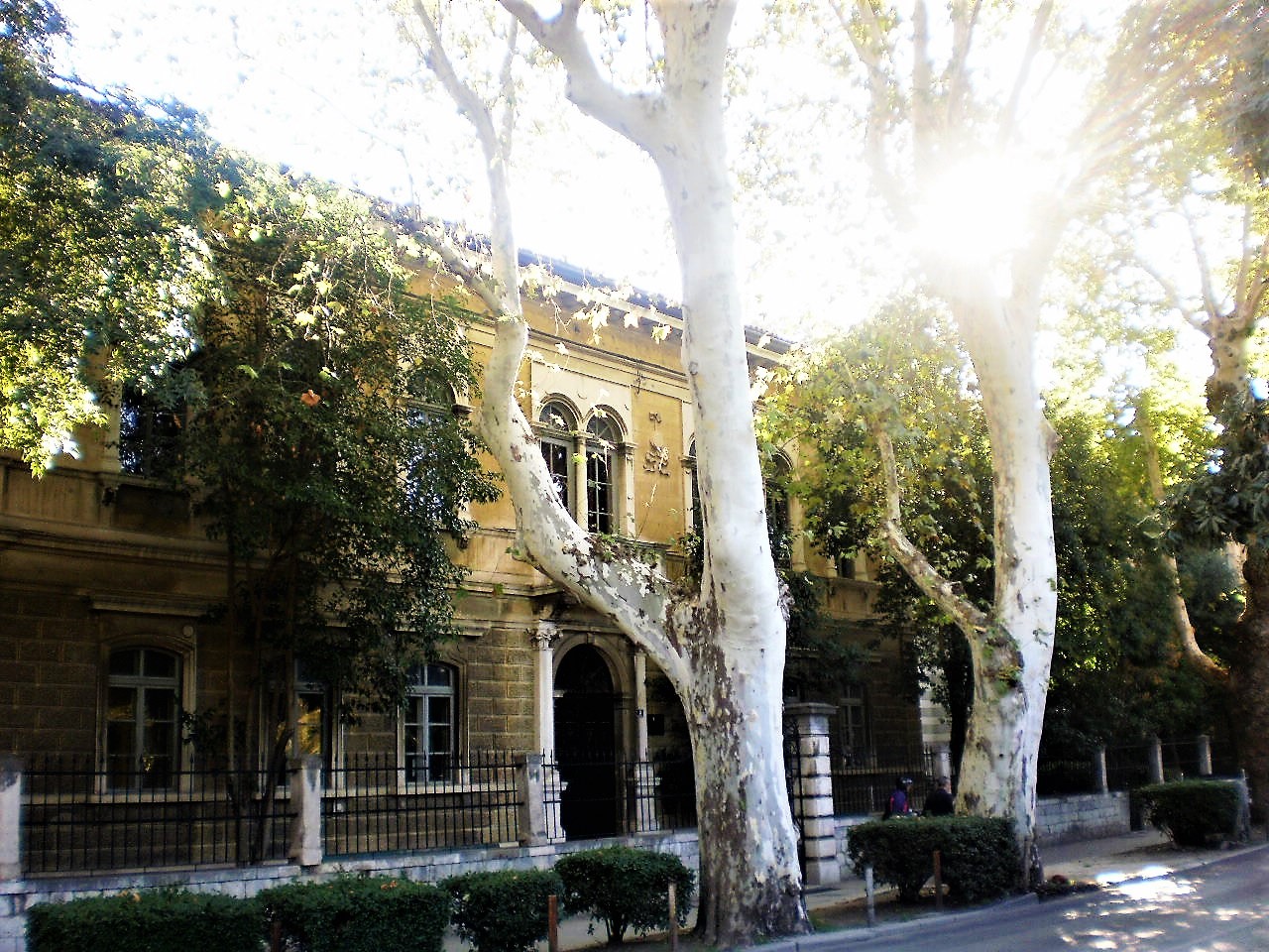 P8239771 (1) — kopia.JPG